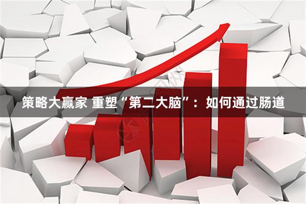 策略大赢家 重塑“第二大脑”：如何通过肠道