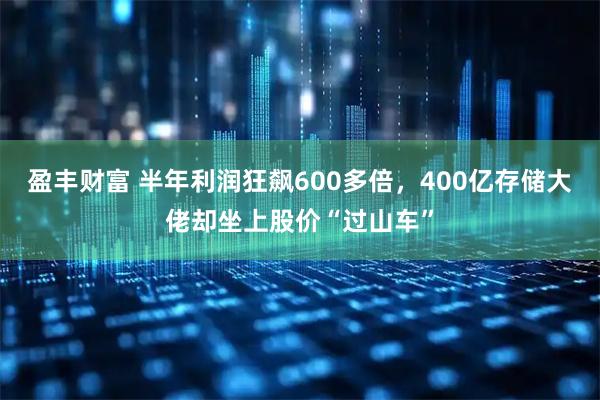 盈丰财富 半年利润狂飙600多倍，400亿存储大佬却坐上股价“过山车”